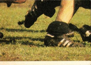 1980 Scanlens VFL #146 Andrew Moir Back